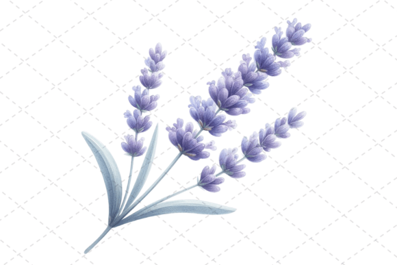 Download Lavender Bliss Watercolor Clipart - Watercolor Collection