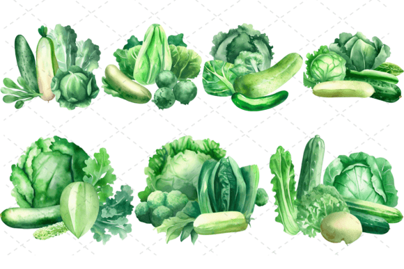 Download 7 Watercolor Green Vegetables Bundle - Watercolor Collection