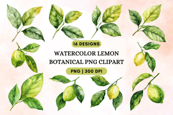 Download Watercolor Lemon Botanical PNG Clipart - Watercolor Collection