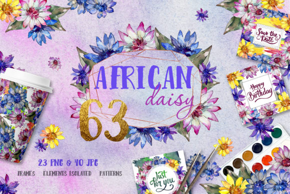 Download African Daisy Watercolor - Premium Resources