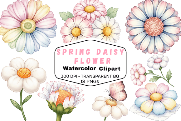 Download Spring Daisy Flower Watercolor Clipart - Watercolor Collection