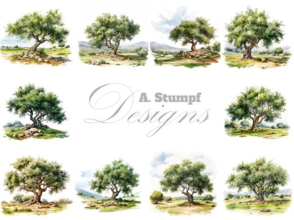 Download Olive Tree Watercolor Clipart Bundle - Watercolor Collection