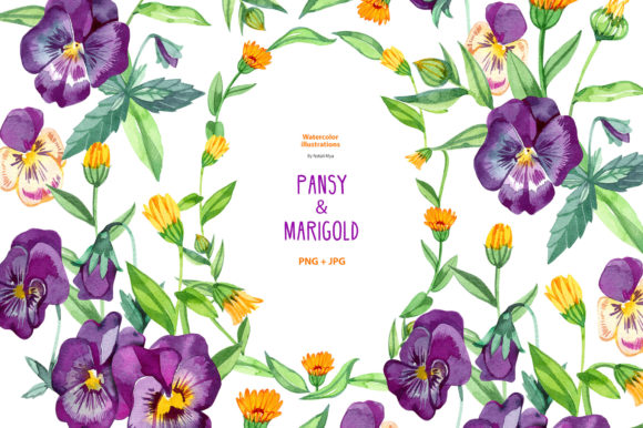 Download Watercolor Pansy and Marigold. - Watercolor Collection