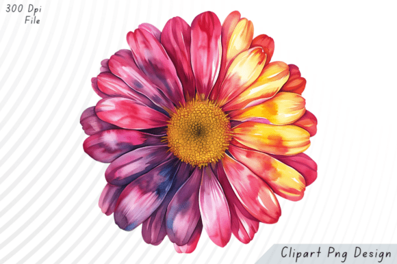 Download Watercolor Rainbow Daisy Flower PNG Clip - Watercolor Collection
