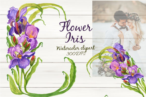 Download Watercolor Flower Iris Spring Clipart - Watercolor Collection