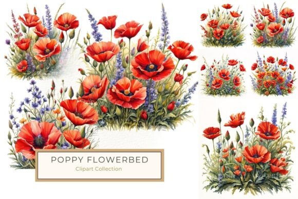 Download Watercolor Red Poppy and Wildflowers PNG - Watercolor Collection