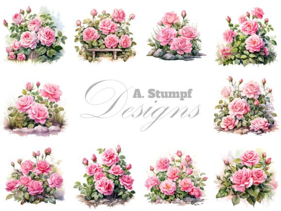 Download Pink Roses Clipart Set Watercolor Flower - Watercolor Collection