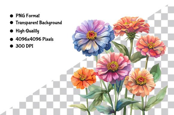 Download Watercolor Zinnia Flower PNG - Watercolor Collection