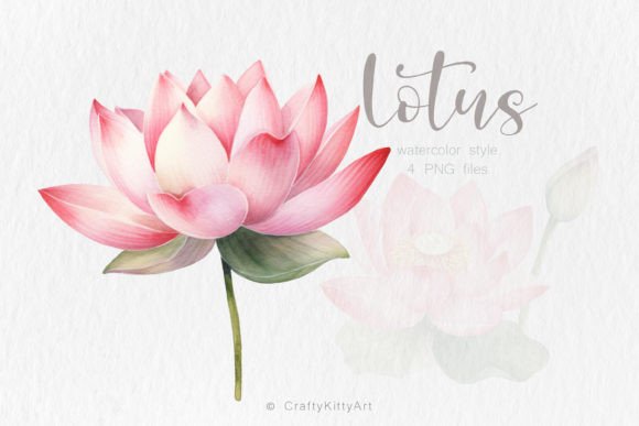 Download Pink Lotus Flower PNG Watercolor Bundle - Watercolor Collection