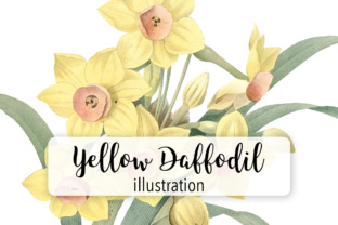 Download Yellow Daffodil Watercolor Flower - Watercolor Collection