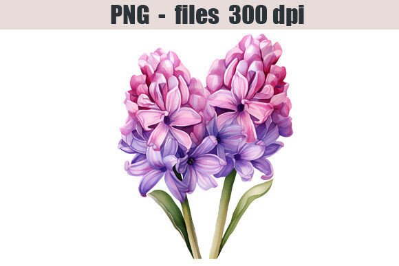 Download Hyacinth Flower Watercolor Clipart - Watercolor Collection