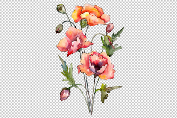 Download Bouquet of Red Poppies Watercolor Set - Watercolor Collection