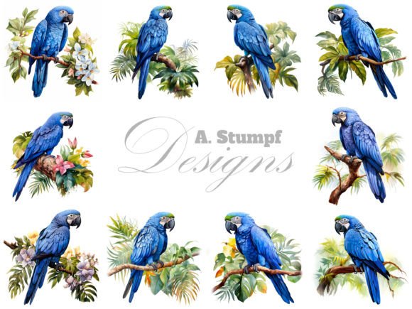 Download Hyacinth Macaw Parrot Watercolor Clipart - Watercolor Collection