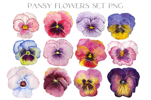 Download 12 Watercolor Pansy Flower Buds PNG - Watercolor Collection