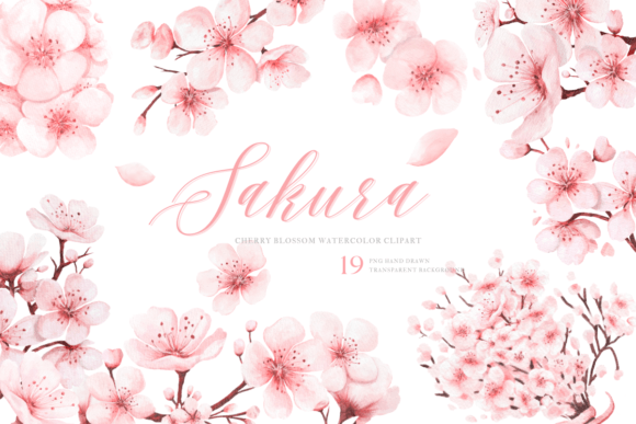 Download Watercolor Sakura PNG Clipart Hand Drawn - Watercolor Collection