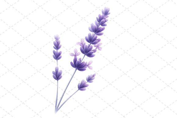 Download Lavender Bliss Watercolor Clipart - Watercolor Collection