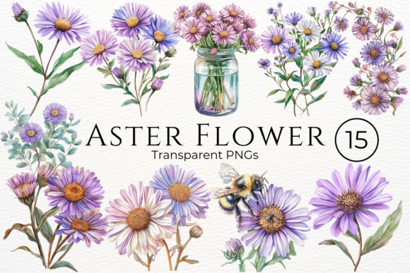 Download Aster Flower Watercolor Cliparts - Watercolor Collection