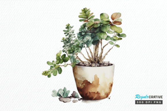 Download Watercolor Potted Plant Clipart Design - Watercolor Collection