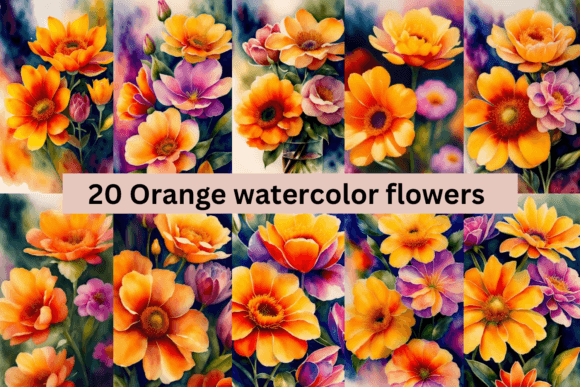 Download #2 Orange Watercolor Flowers Bundle - Watercolor Collection