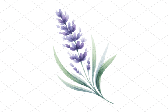 Download Lavender Bliss Watercolor Clipart - Watercolor Collection