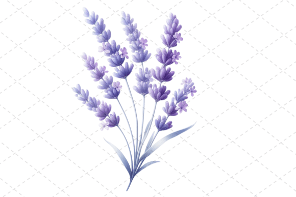 Download Lavender Bliss Watercolor Clipart - Watercolor Collection