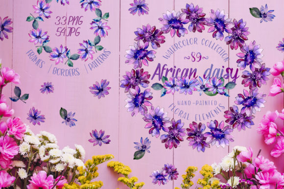 Download African Daisy Watercolor - Premium Bundle