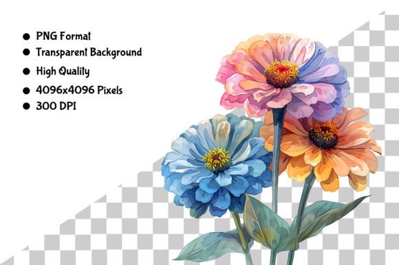 Download Watercolor Zinnia Flower PNG - Watercolor Collection