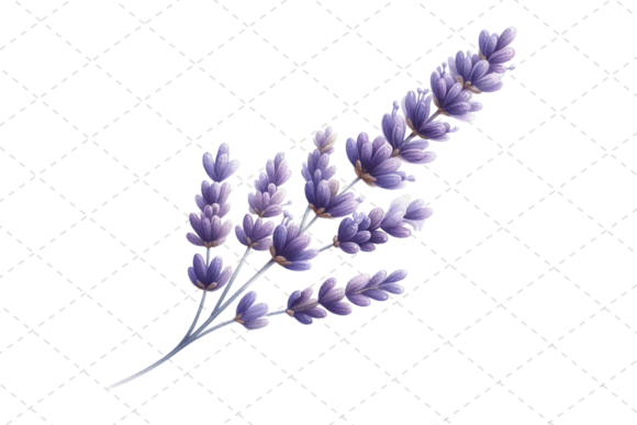 Download Lavender Bliss Watercolor Clipart - Watercolor Collection