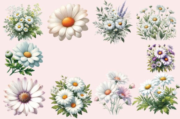 Download Daisy Flower Watercolor - Watercolor Collection